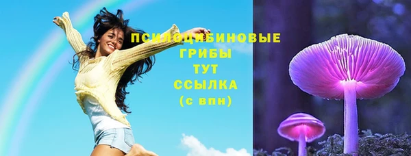 мяу мяу кристалл Няндома