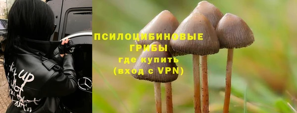мяу мяу кристалл Няндома