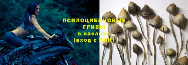 мяу мяу кристалл Няндома